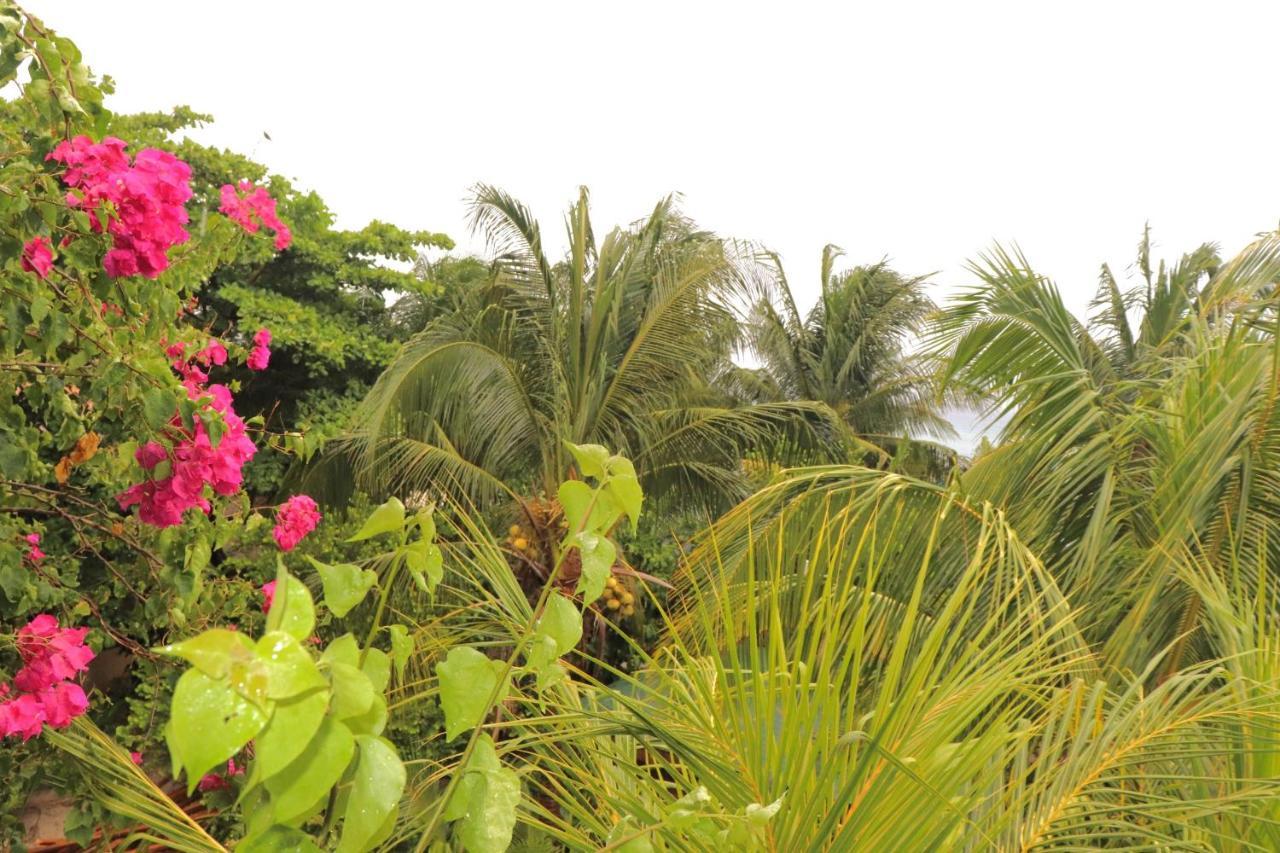 Hotel Posada Seremein ,West Bay ,Roatan Экстерьер фото